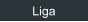 Liga